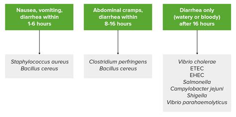 Gastroenteritis Symptoms