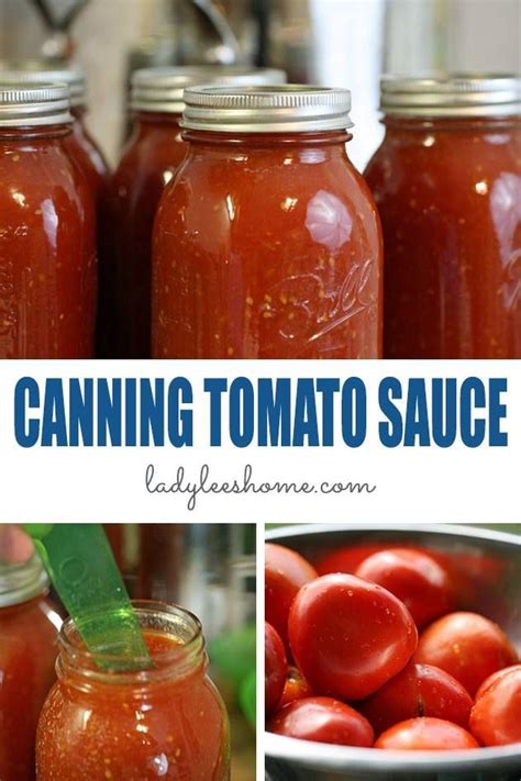 Canning Tomato Sauce | Recipe | Canning tomatoes recipes, Canning tomatoes, Canning recipes