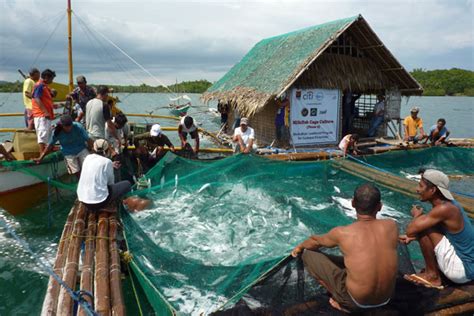 Bill proposes seeks to institutionalize mariculture program