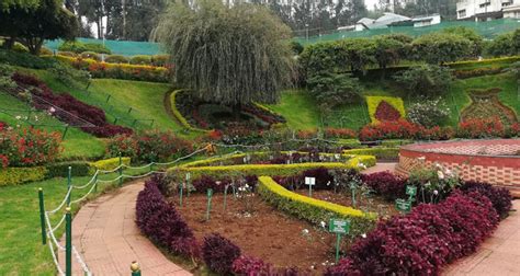 Ooty Rose Garden, Entry Fee, Timings, Entry Ticket Cost, Price - Ooty ...