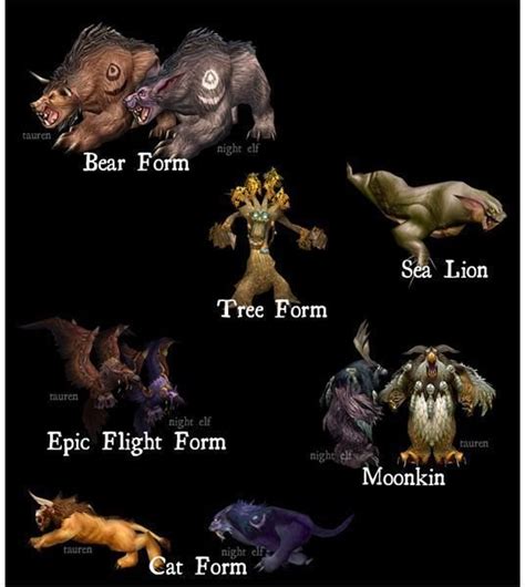 Guide to New, Updated World of Warcraft Night Elf and Tauren Druid Bear ...