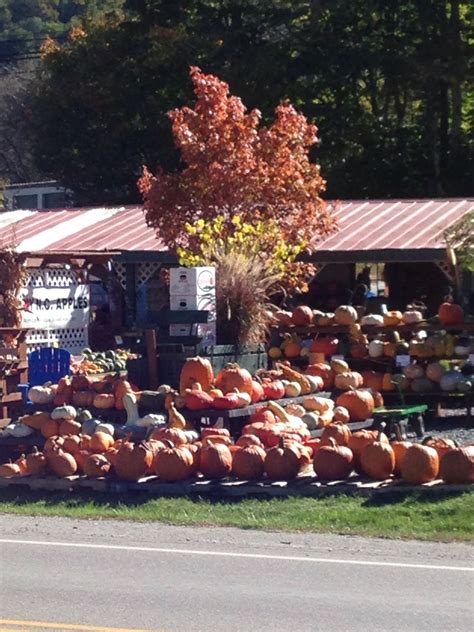 Fall 2014 Banner Elk | Banner elk, Banner elk nc, Pumpkin patch