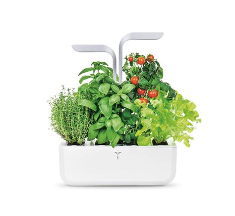 Urban Gardening: 3 Smart Planters Available Online | Visi