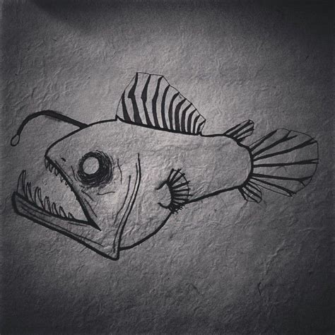 Angler Fish Sketch at PaintingValley.com | Explore collection of Angler Fish Sketch