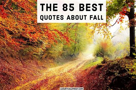 85+ Inspirational Fall Quotes | Short, Happy And Funny Autumn Sayings