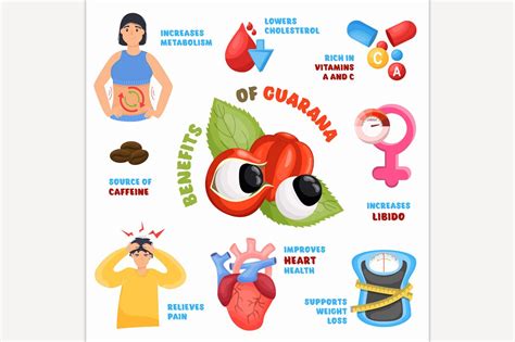 Guarana benefits infographic. | Food Illustrations ~ Creative Market