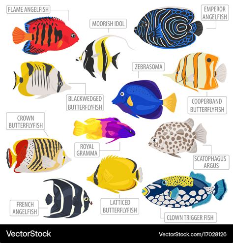 Freshwater aquarium fish breeds icon set flat Vector Image