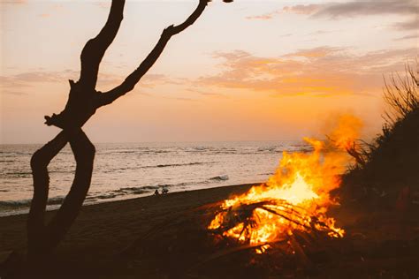 Campfire on beach during sunset time · Free Stock Photo