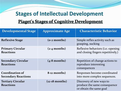 Cognitive Development Stages By Age