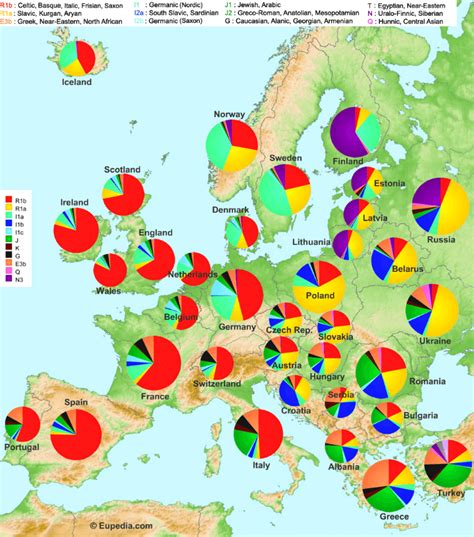 DNA Map of the EU: How Do DNA Types Differ Across Europe?