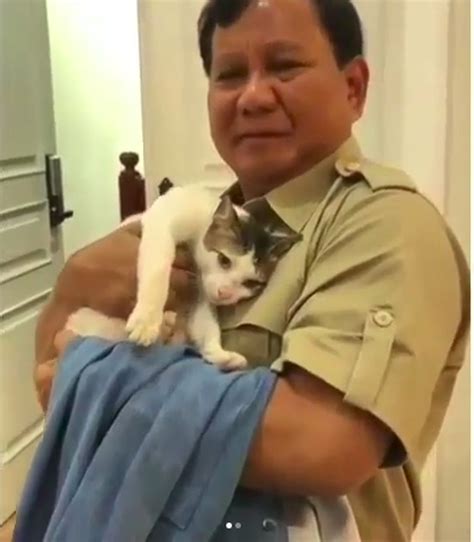 Bobby, Kucing Kesayangan Prabowo yang Eksis di Instagram