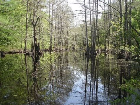 Little River National Wildlife Refuge | TravelOK.com - Oklahoma's ...