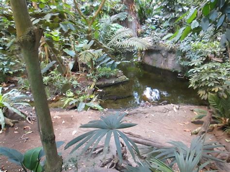 Biodome | Biodome, Plants, Montreal