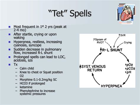 PPT - Pediatric Cardiac Emergencies PowerPoint Presentation, free download - ID:1421300