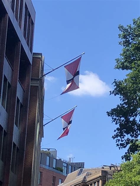 Saw this unique looking flag flying in Central London, was wondering if ...