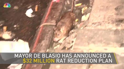 News Coverage Shows Up NYC Rat Problem – NBC New York