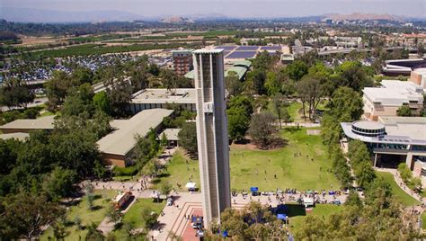 UC Riverside scientists discover new citrus greening treatment | Valley ...