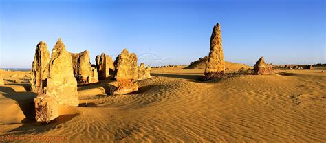 Pinnacles Desert at sunrise panorama photo WP00866