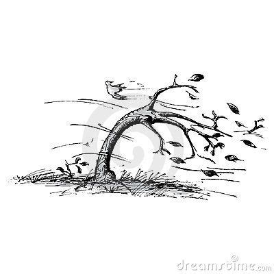 Tree in the wind | Wind art, Wind drawing, Wind tattoo