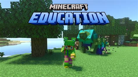 Minecraft education edition casual skin pack - nipoddollars