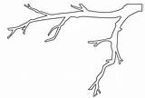 Tree Branch Coloring Pages  Home sketch template