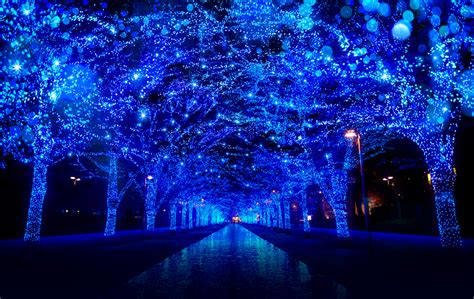 SHIBUYA BLUE CAVE 2018 | Blue christmas lights, Tokyo, Holiday getaways