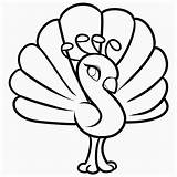 Free Printable Peacock Coloring Pages For Kids  sketch template