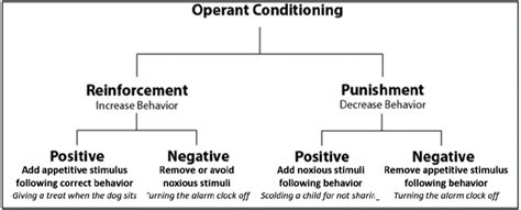 Chapter 5: Cognitive Development in Infancy and Toddlerhood – Infant & Toddler Development