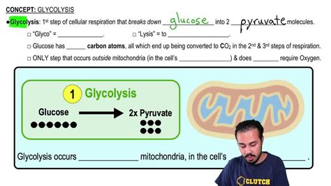 Steps of Glycolysis Reactions Explained - Animation - SUPER EASY | Pearson+ Channels