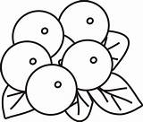 Blueberry Coloring Pages  Best For Kids sketch template