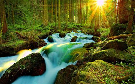 Mossy Forest Waterfall | Beau paysage, Paysage, Nature