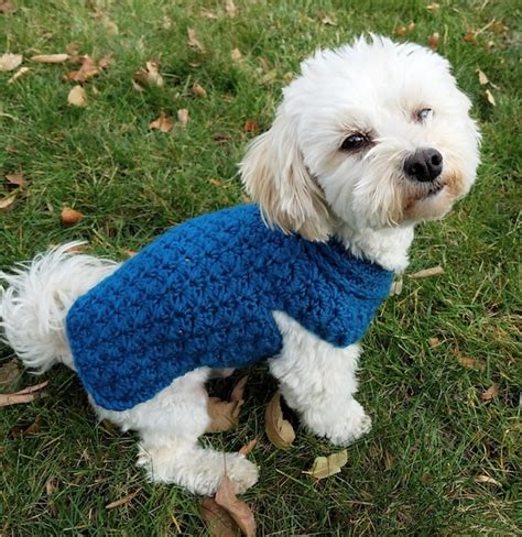 Teacup Maltese Clothes - Dress The Dog - clothes for your pets!