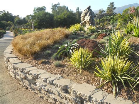 Hillside Erosion Control - Landscaping Network