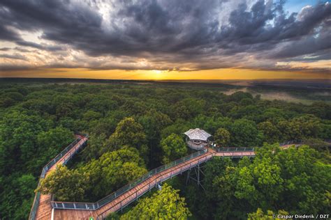 Perspective 7: Hainich National Park – ancient woodland in the heart of ...