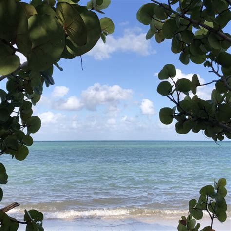 What Will You See? – Marjory Stoneman Douglas Biscayne Nature Center