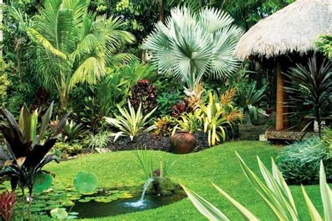 Exotic garden design ideas | Hawk Haven