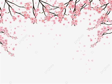 Cherry Blossoms Border PNG Image, Cherry Blossom Border, Cherry Blossom Clipart, Cherry Blossoms ...