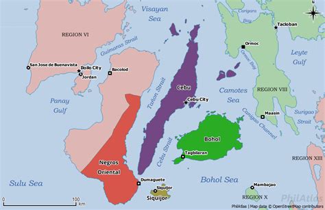 Region VII’s, Cebu province’s critical care facilities in ‘warning