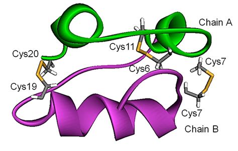 Insulin crystal (PDB: 2HIU-[34, 35]). | Download Scientific Diagram