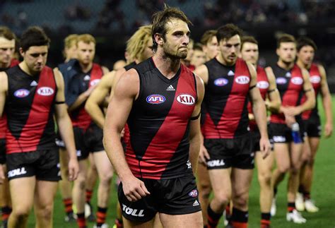 Essendon doping saga: Full list of players to miss 2016 AFL season ...