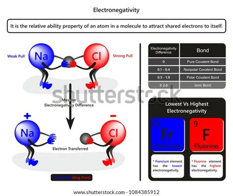 Electronegativity Infographic Diagram Example Sodium Chloride Stock ...