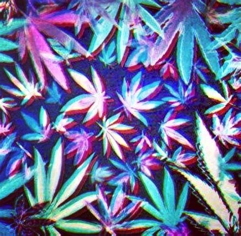 🔥 [42+] Trippy Pot Leaf Wallpapers | WallpaperSafari