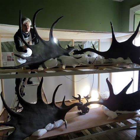 Irish Elk skulls in storage. | Irish elk, Prehistoric wildlife, Elk skull