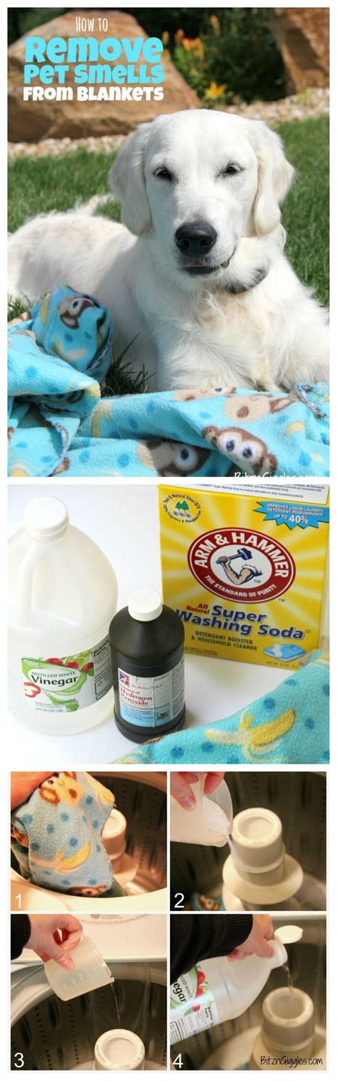 How to Remove Pet Smells From Blankets | Pet smell, Dog smells, Diy dog stuff