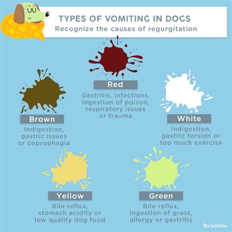 My dog vomits a dark brown liquid and does not eat, what's wrong? | Barkibu