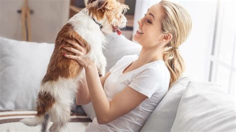 5 Ideal Dog Breeds for Urban Apartment Dwellers — The Coffee Mom