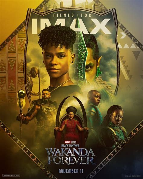 Black Panther: Wakanda Forever Movie Poster (#3 of 32) - IMP Awards