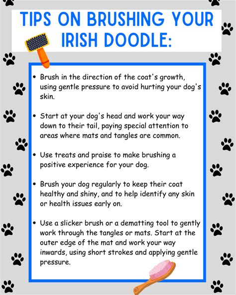 How to Groom Your Irish Doodle Like a Pro (FREE Guide)