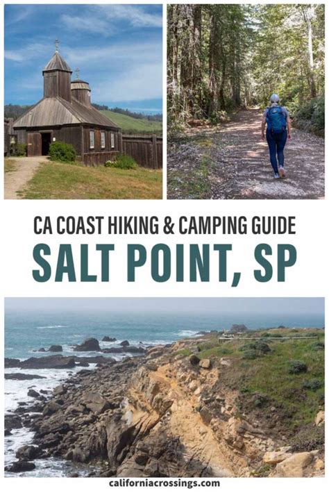 Salt Point State Park: Hiking & Camping Guide