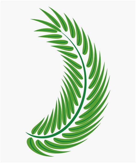 Transparent Palm Leaf Vector Png - Palm Trees, Png Download - kindpng